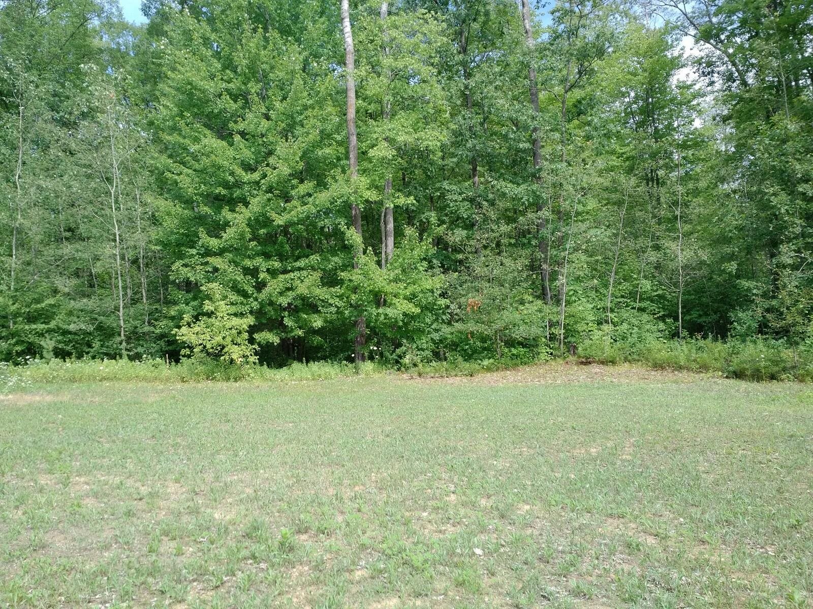 5691 Oak Ridge Drive Gladwin, MI 48624 - Photo 47 of 74