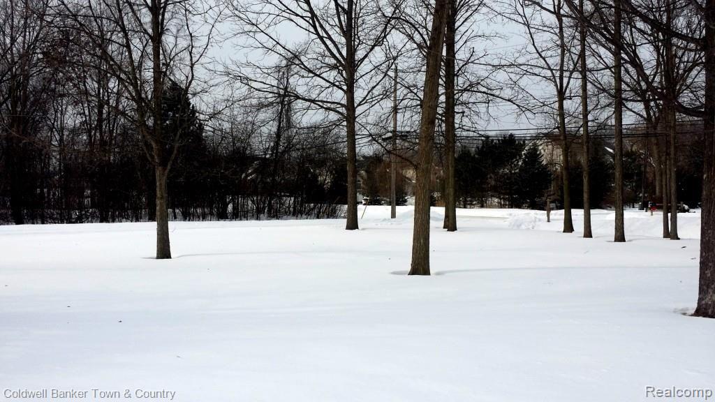 585 Shortridge Avenue Rochester Hills, MI 48307 - Photo 12 of 18