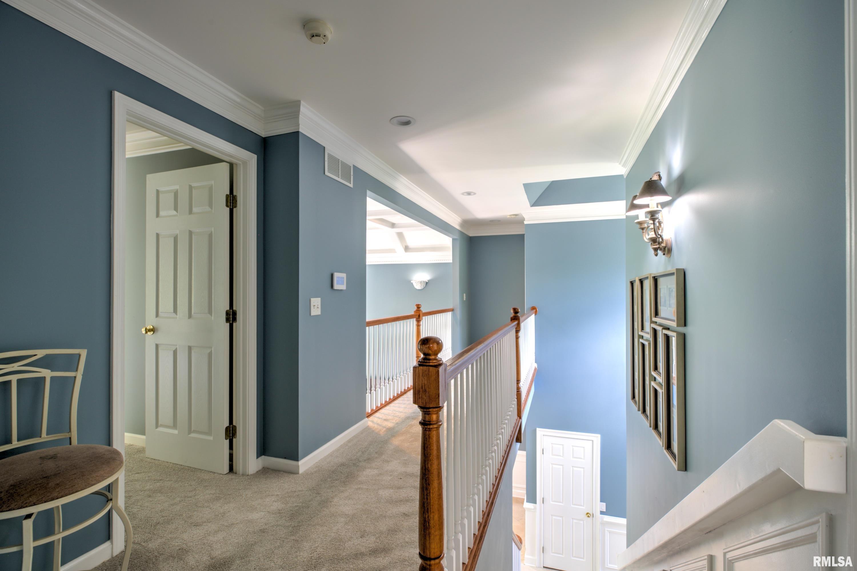 2929 Windpointe Drive Peoria, IL 61614 - Photo 45 of 100