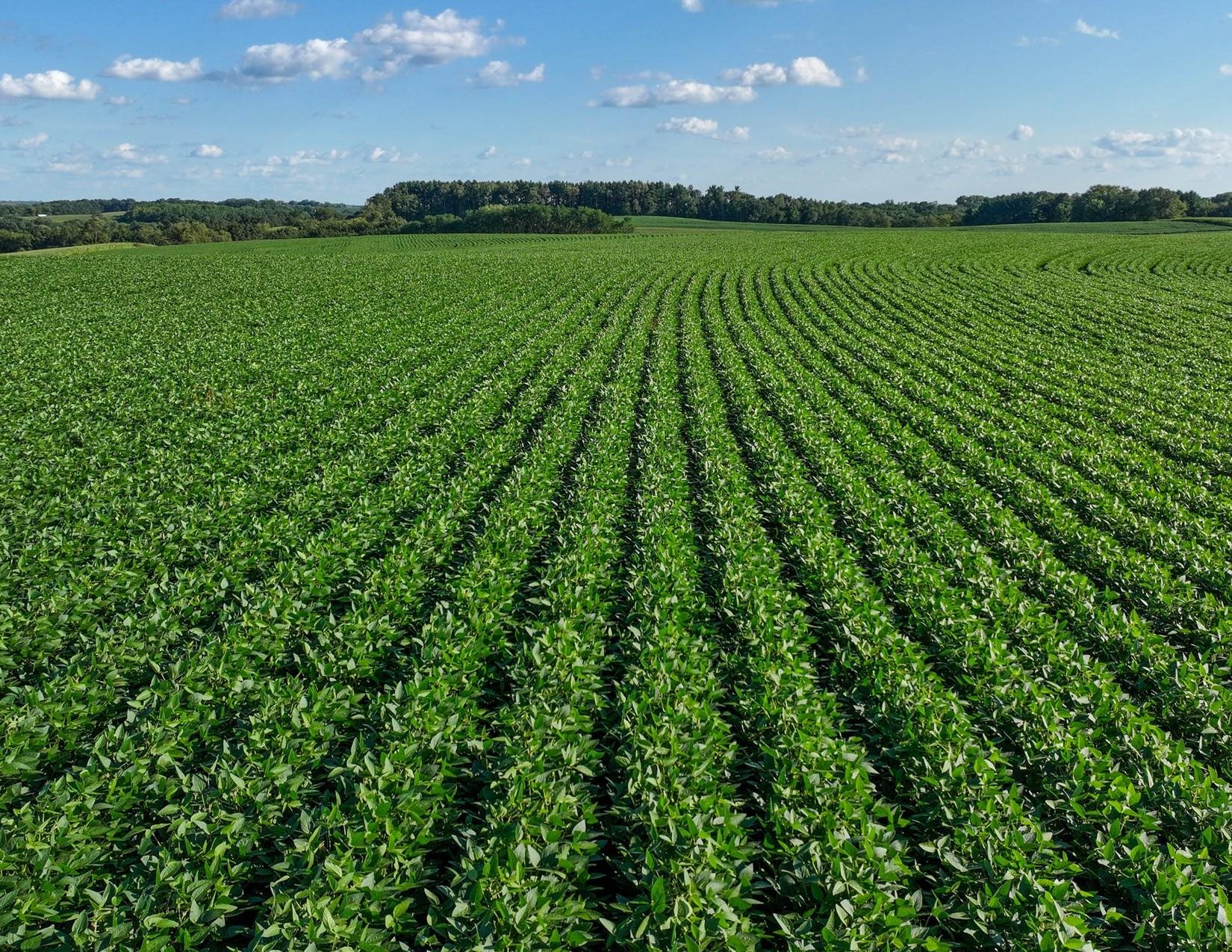 169.75-acres Stump Ridge Road Viroqua, WI 54665 - Photo 23 of 30 Gallery Image 23