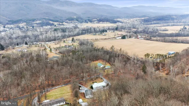 a view of a dry yard