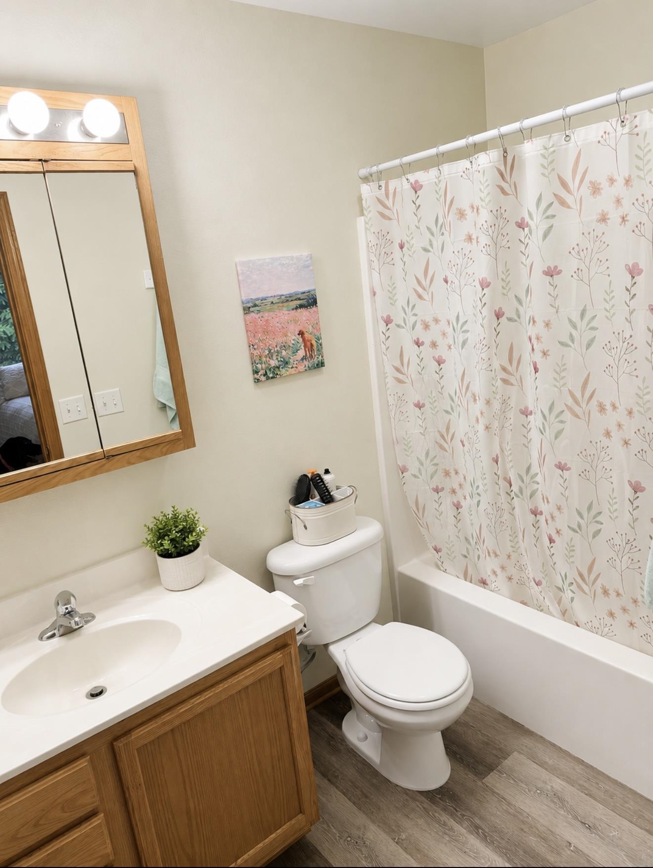 54 Meme Lane Reedsburg, WI 53959 - Photo 14 of 18