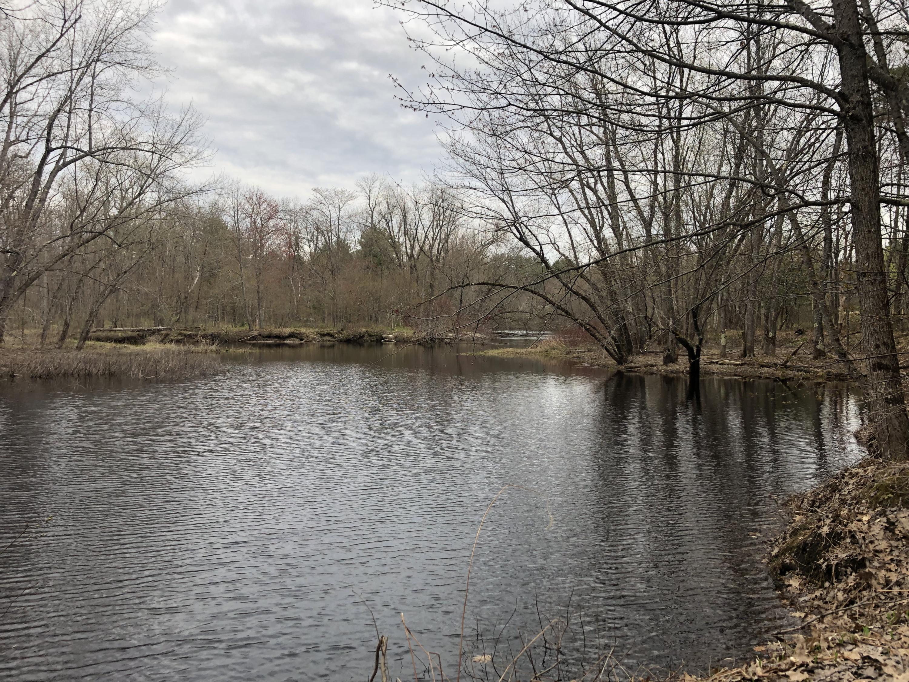 95 Lane Road Mechanic Falls, ME 04256 - Photo 1 of 12 RIver