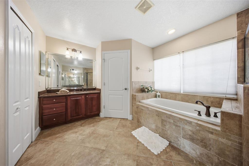 5047 Rishley Run Way Mount Dora, FL 32757 - Photo 20 of 42 a bathroom with a tub sink and mirror