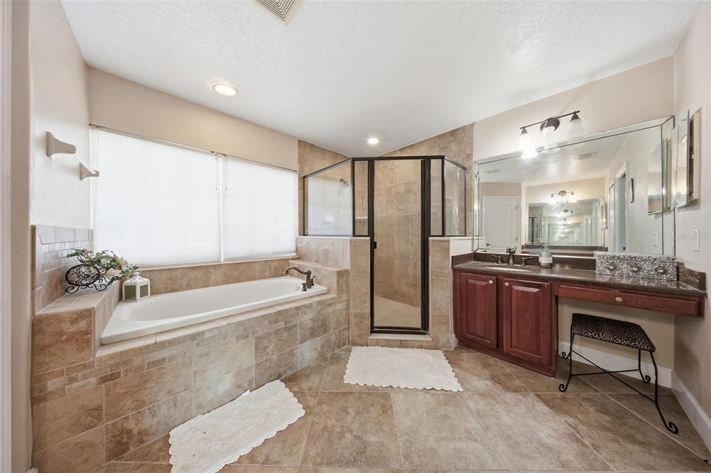 5047 Rishley Run Way Mount Dora, FL 32757 - Photo 21 of 42 a spacious bathroom with a tub sink shower and mirror