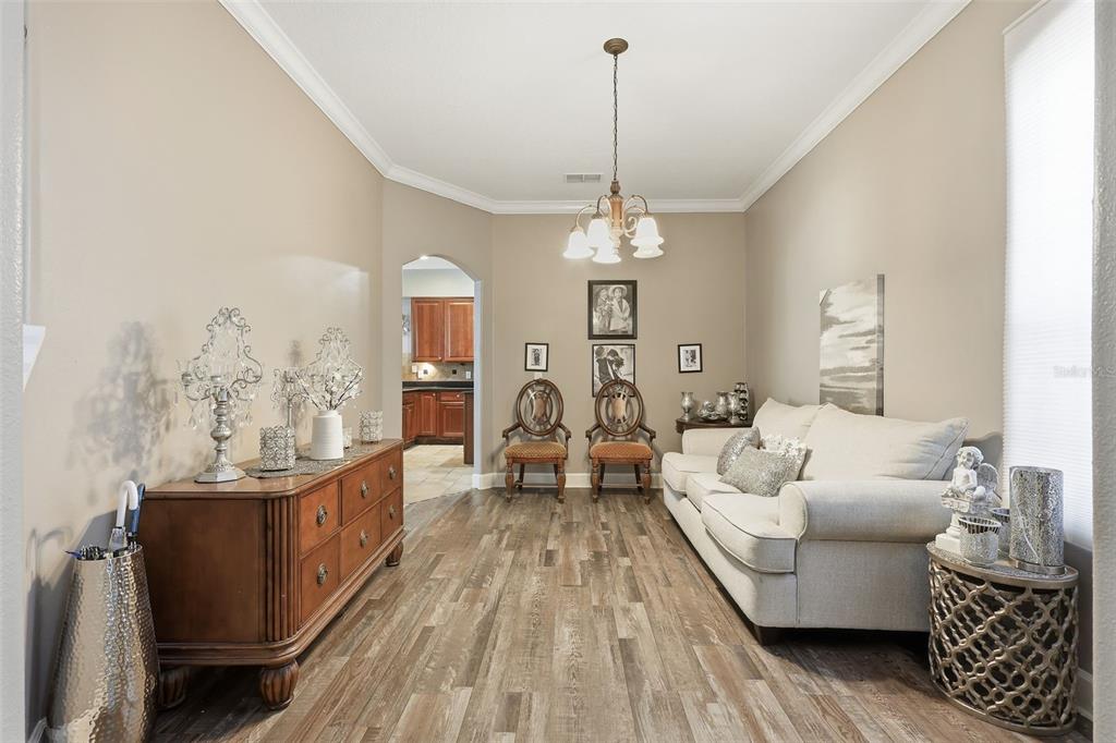 5047 Rishley Run Way Mount Dora, FL 32757 - Photo 8 of 42 a living room with furniture and wooden floor