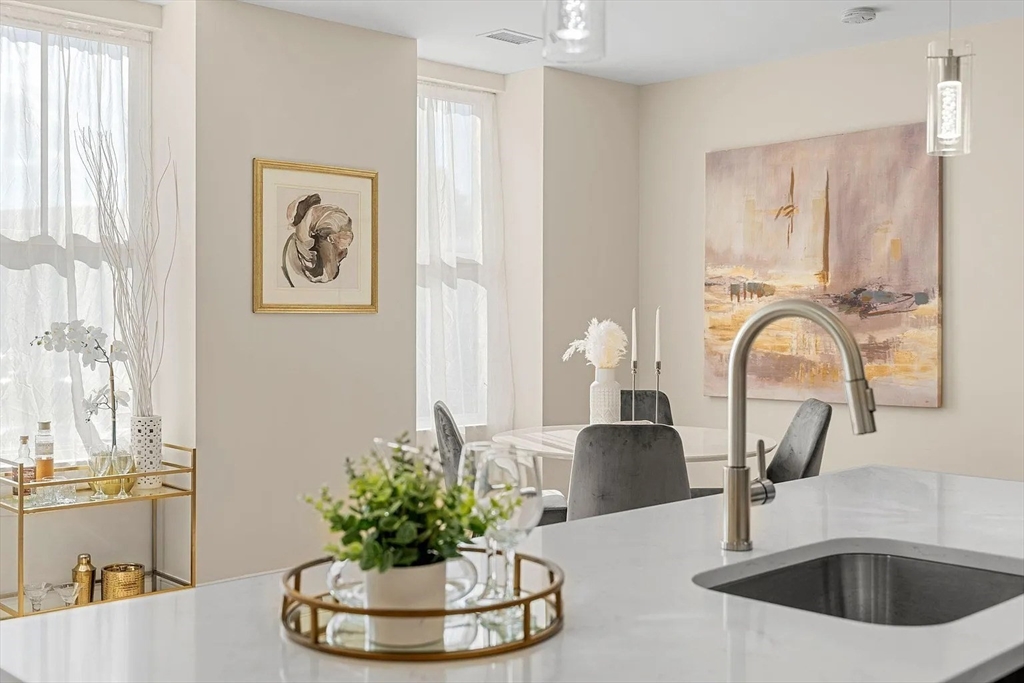 124 Warren Street, Unit 302 Boston, MA 02119 - Photo 13 of 24 a close view of a sink and a potted plant on a kitchen counter top