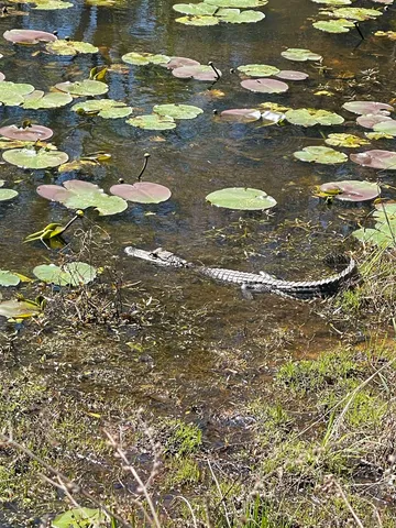 $1,500,000 | 26070 Blue Star Highway, Havana, FL 32333