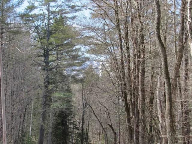 $135,000 | 1192 Haven Hill Road, Unit LOT 1A, Londonderry, VT 05155