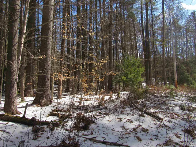 $135,000 | 1192 Haven Hill Road, Unit LOT 1A, Londonderry, VT 05155