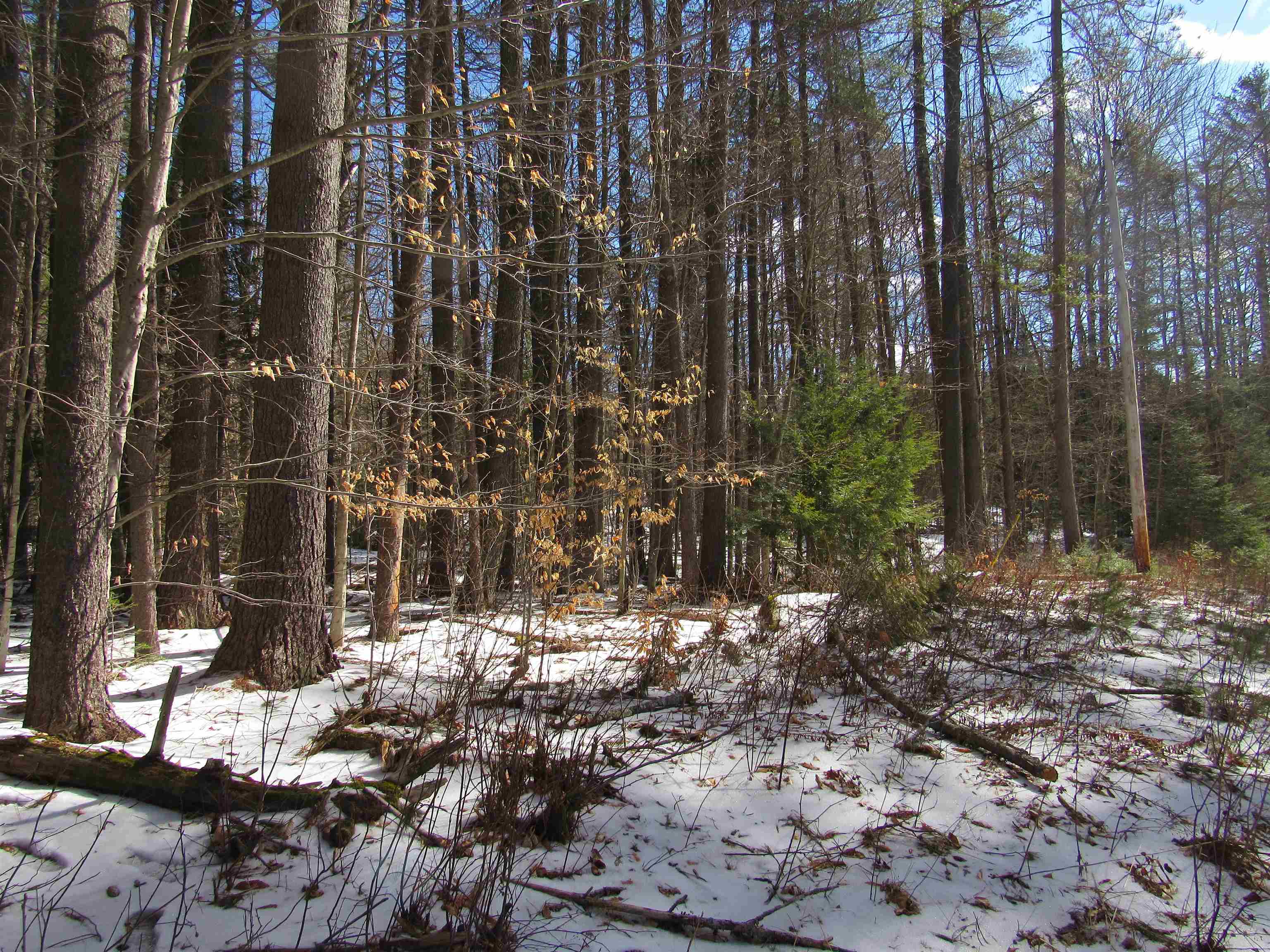 1192 Haven Hill Road, Unit LOT 1A Londonderry, VT 05155 - Photo 11 of 23