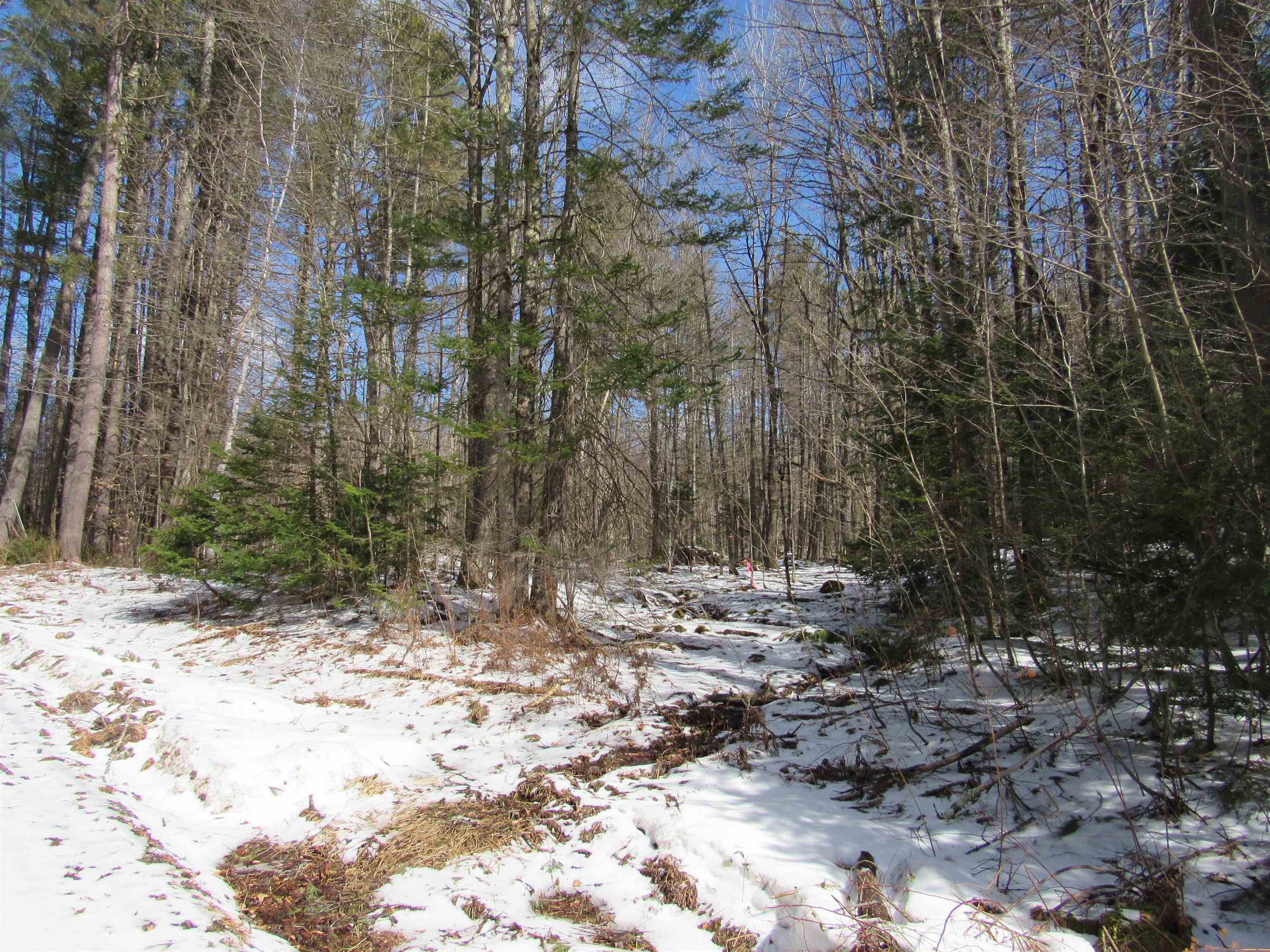 1192 Haven Hill Road, Unit LOT 1A Londonderry, VT 05155 - Photo 14 of 23