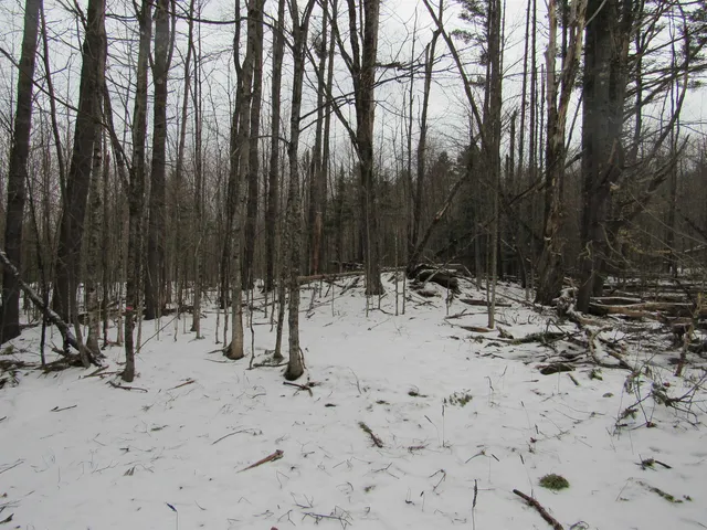 $135,000 | 1192 Haven Hill Road, Unit LOT 1A, Londonderry, VT 05155