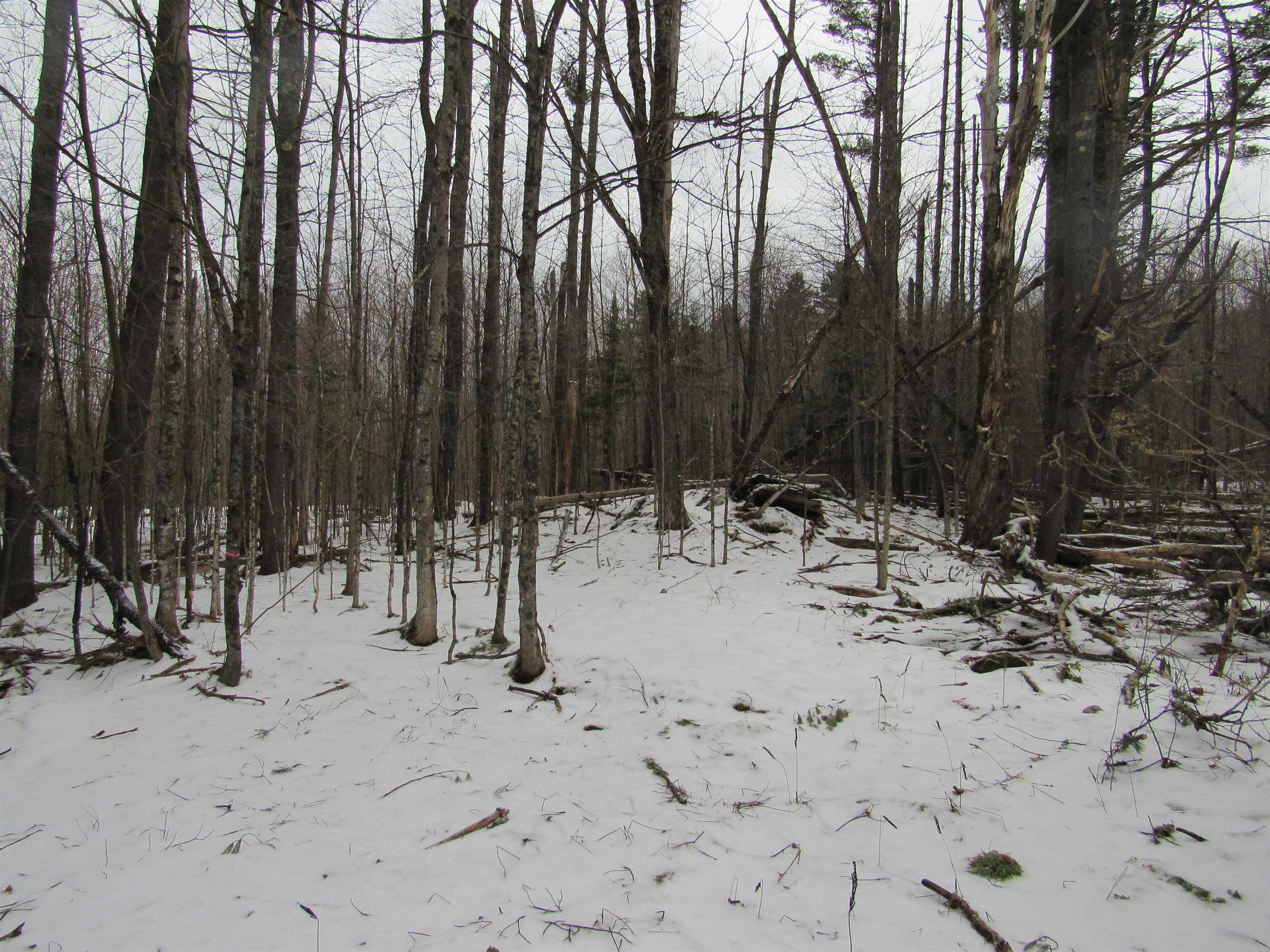 1192 Haven Hill Road, Unit LOT 1A Londonderry, VT 05155 - Photo 15 of 23