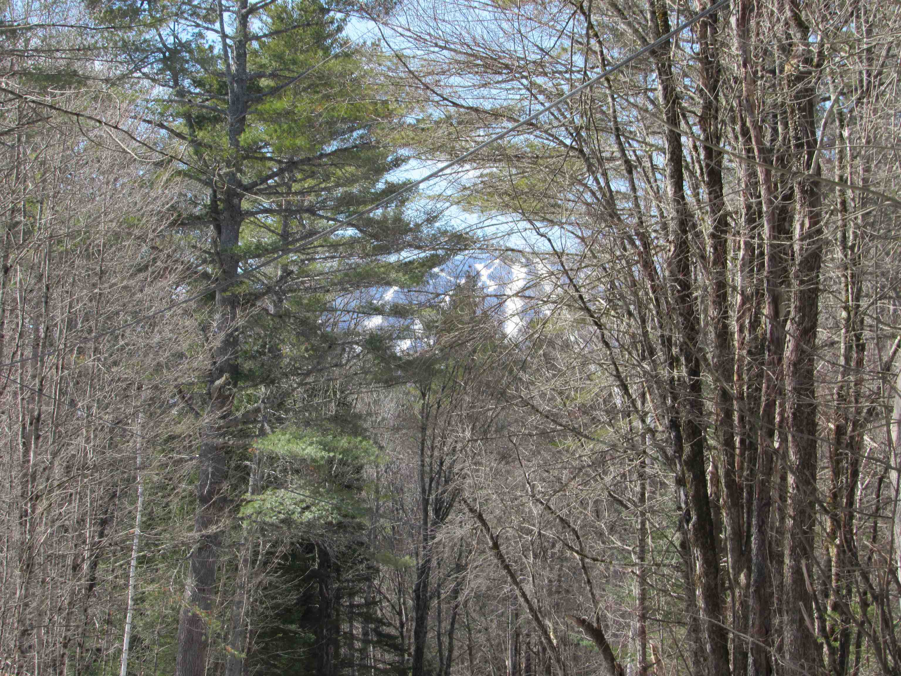 1192 Haven Hill Road, Unit LOT 1A Londonderry, VT 05155 - Photo 16 of 23