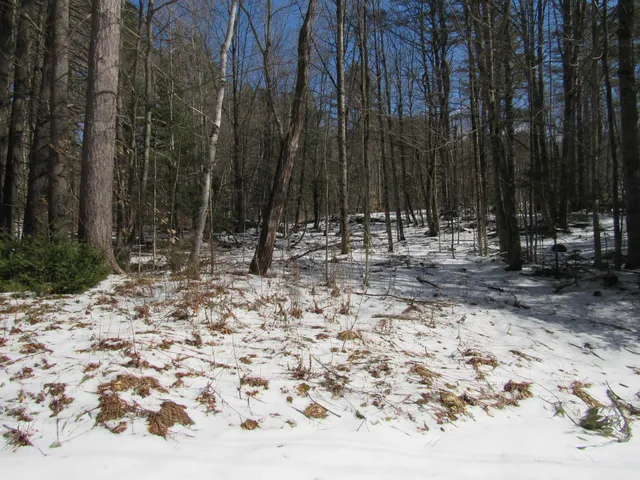 $135,000 | 1192 Haven Hill Road, Unit LOT 1A, Londonderry, VT 05155