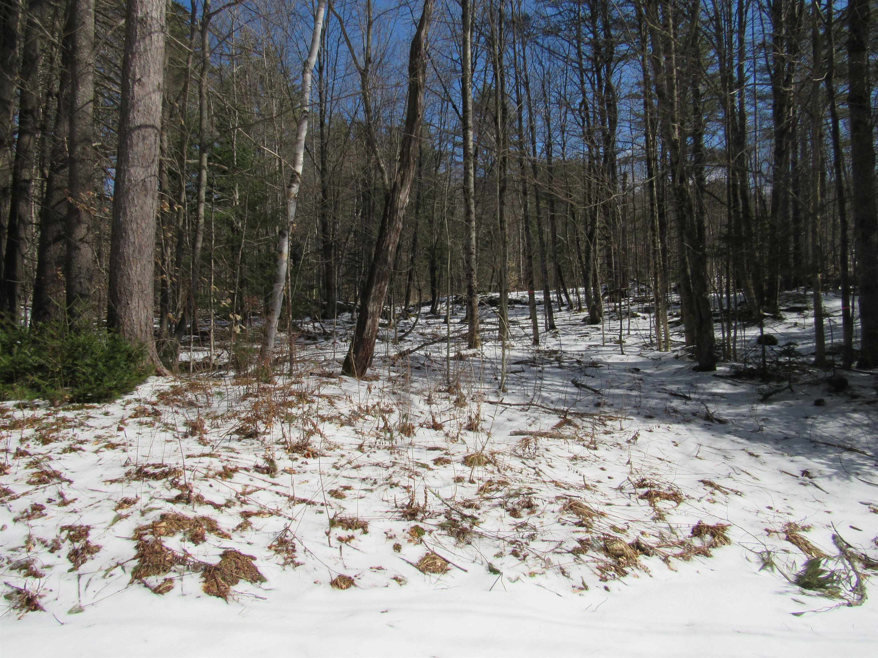 1192 Haven Hill Road, Unit LOT 1A Londonderry, VT 05155 - Photo 17 of 23