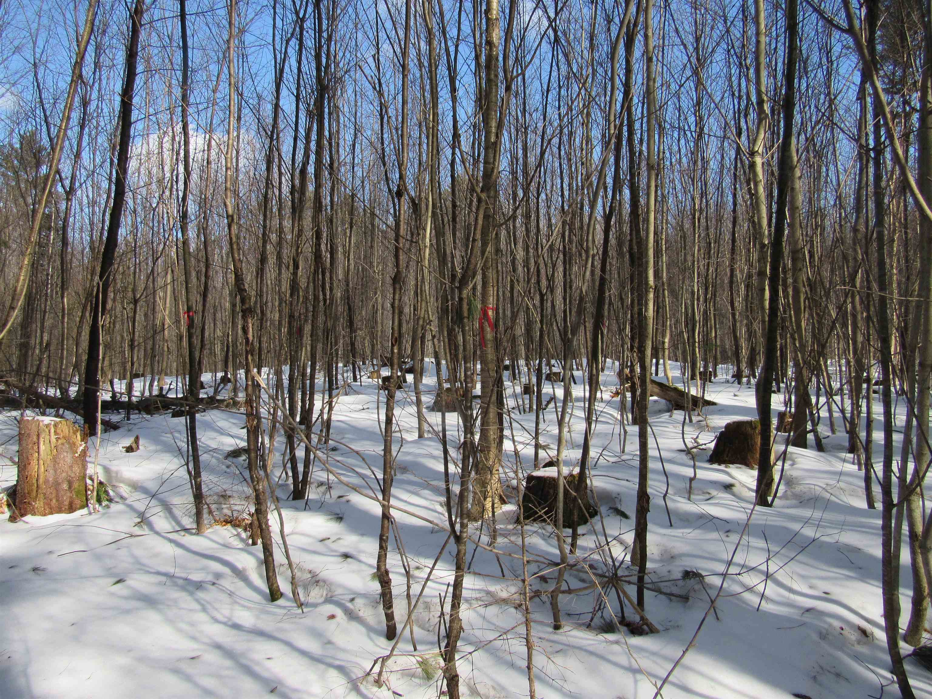 1192 Haven Hill Road, Unit LOT 1A Londonderry, VT 05155 - Photo 19 of 23