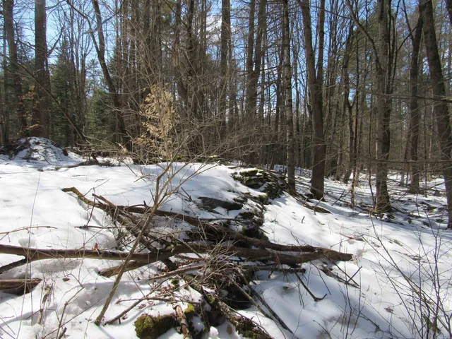 $135,000 | 1192 Haven Hill Road, Unit LOT 1A, Londonderry, VT 05155