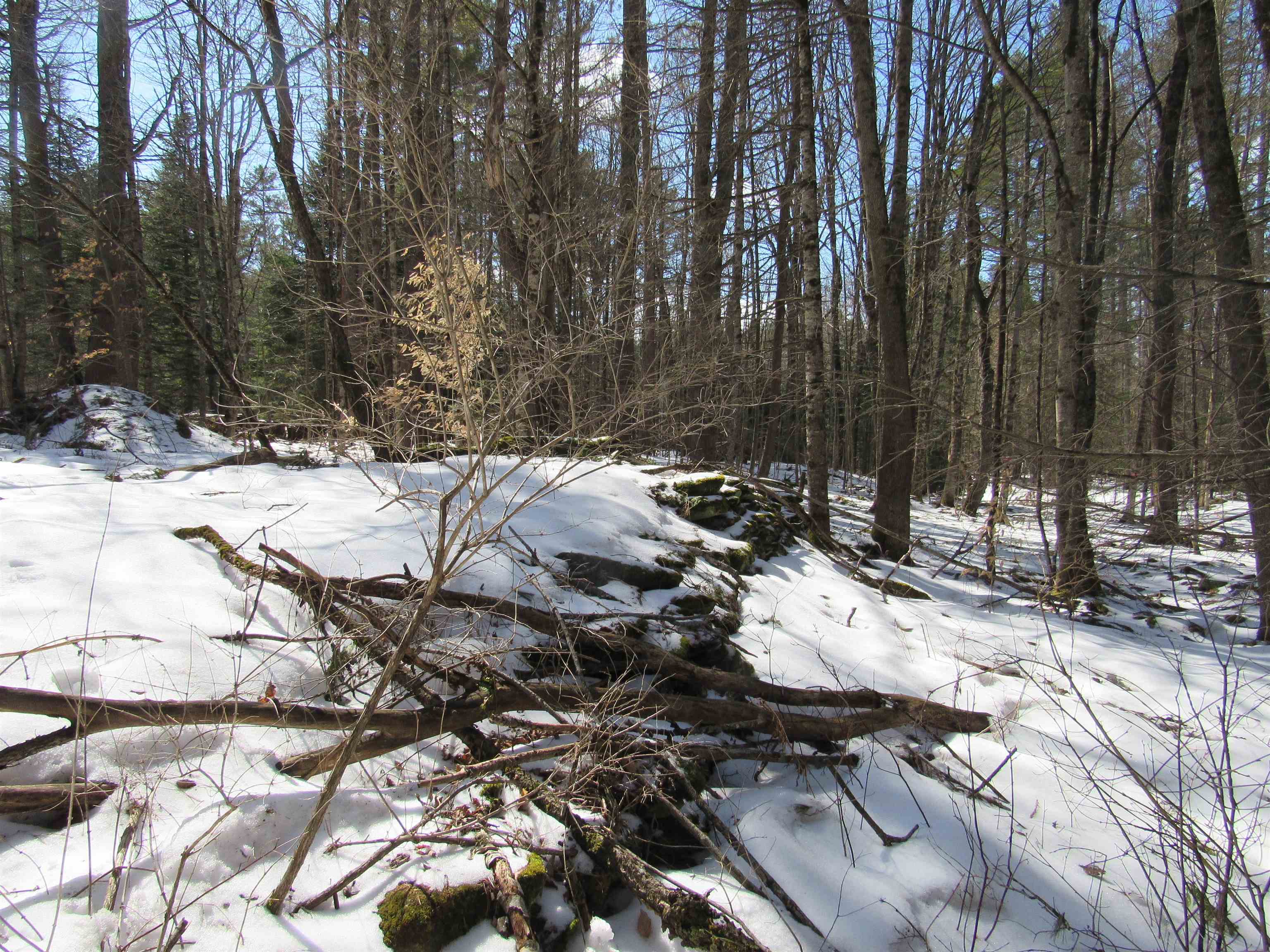 1192 Haven Hill Road, Unit LOT 1A Londonderry, VT 05155 - Photo 20 of 23