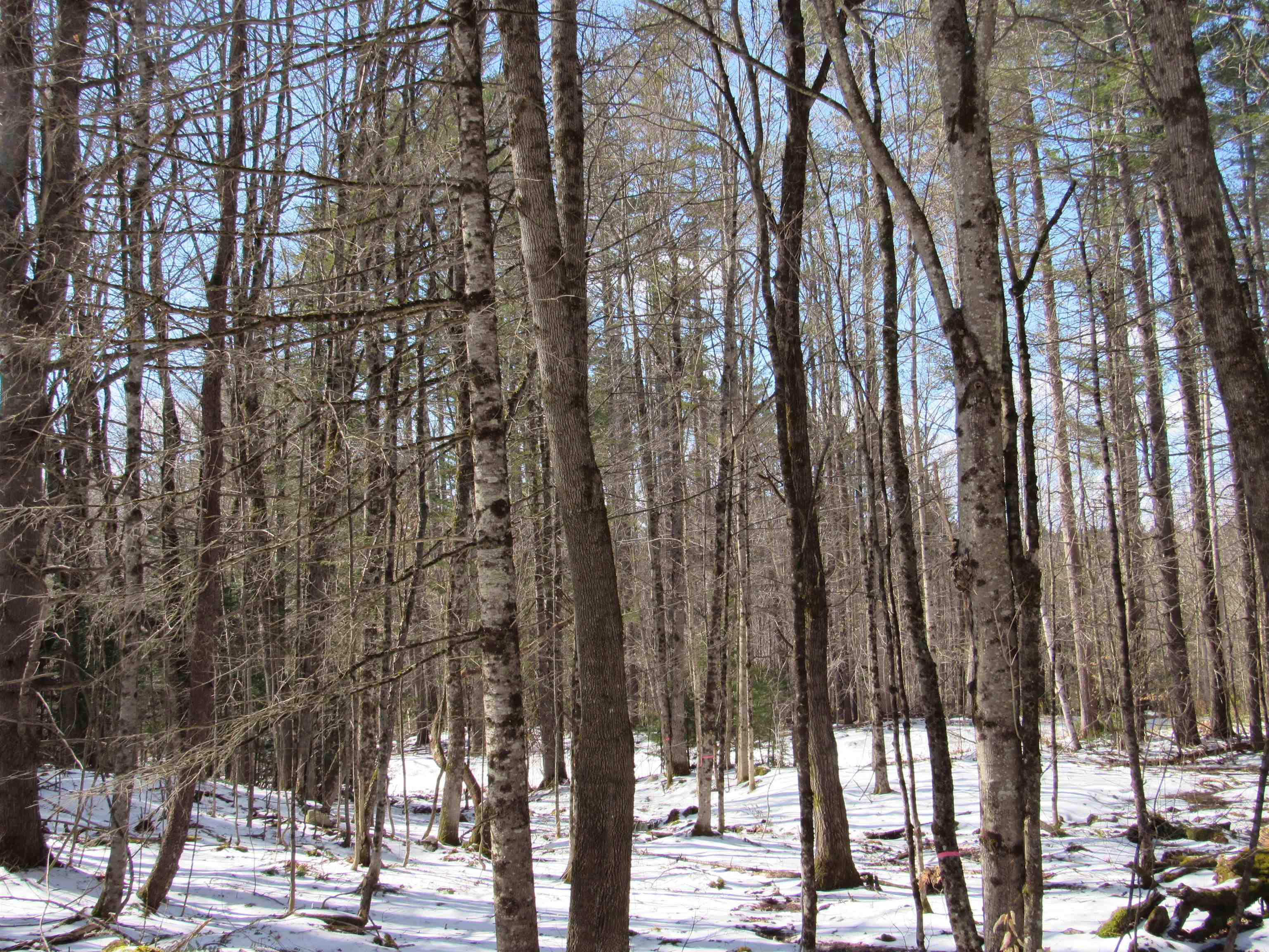 1192 Haven Hill Road, Unit LOT 1A Londonderry, VT 05155 - Photo 21 of 23