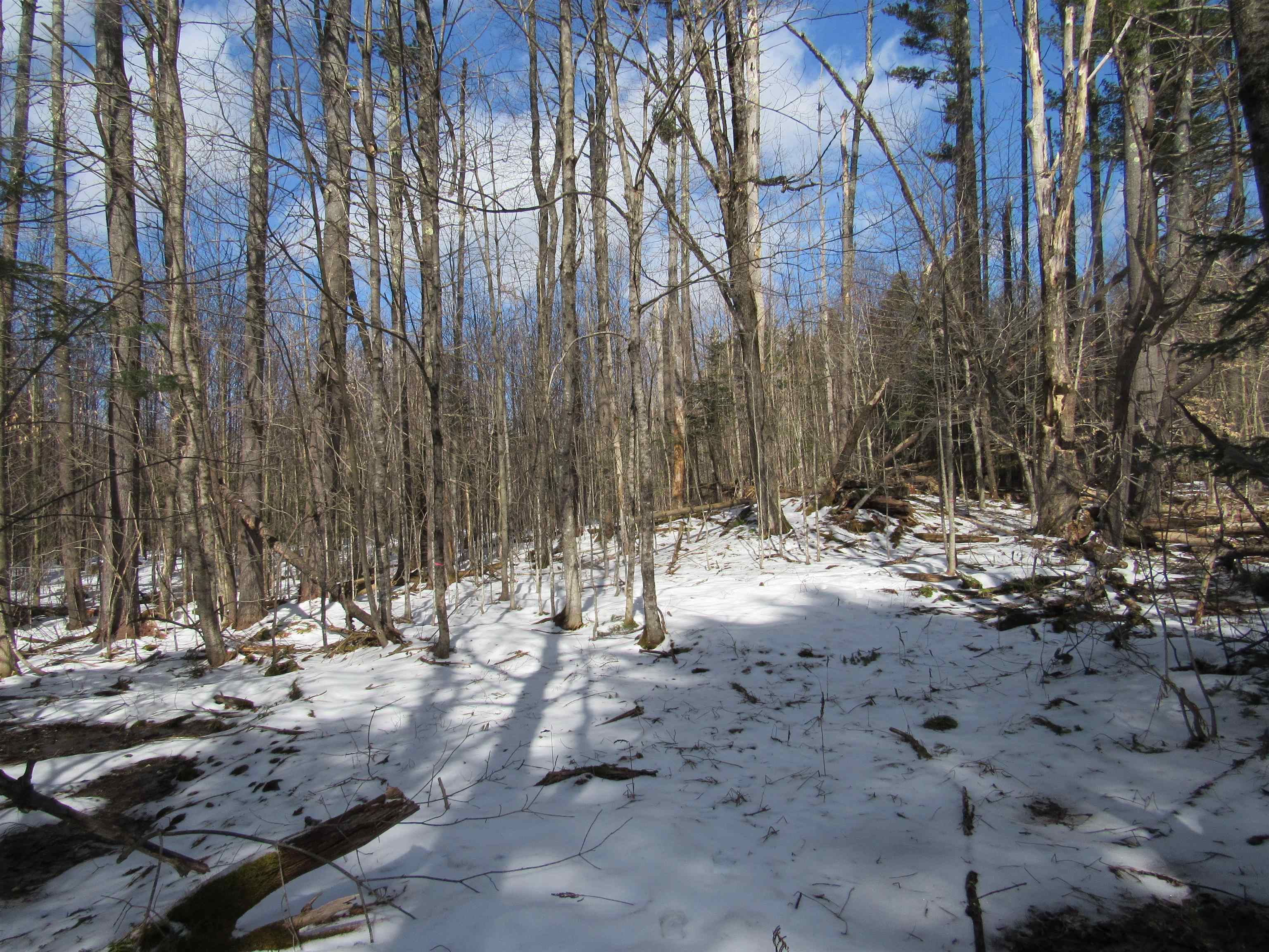 1192 Haven Hill Road, Unit LOT 1A Londonderry, VT 05155 - Photo 23 of 23