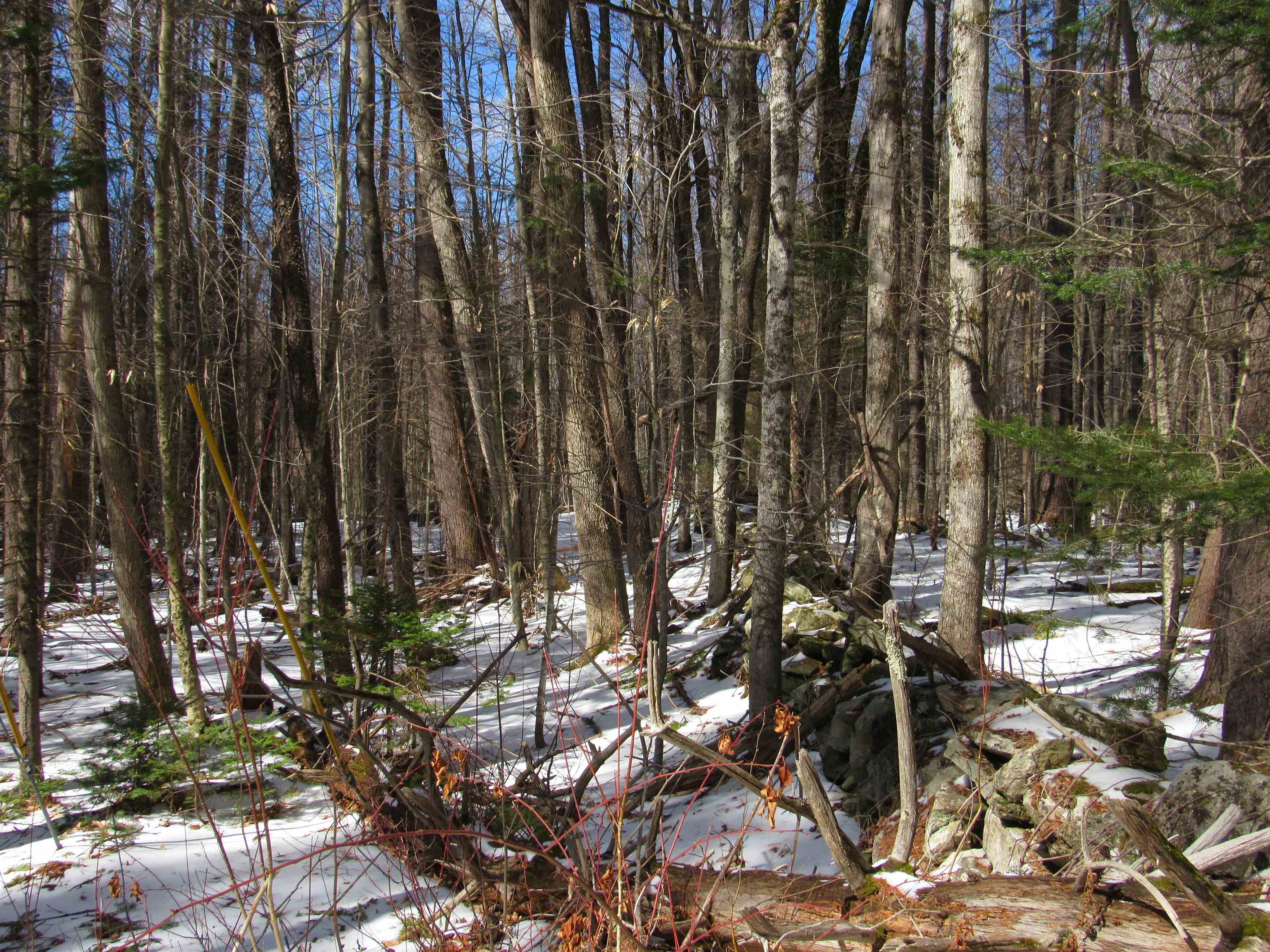 1192 Haven Hill Road, Unit LOT 1A Londonderry, VT 05155 - Photo 3 of 23