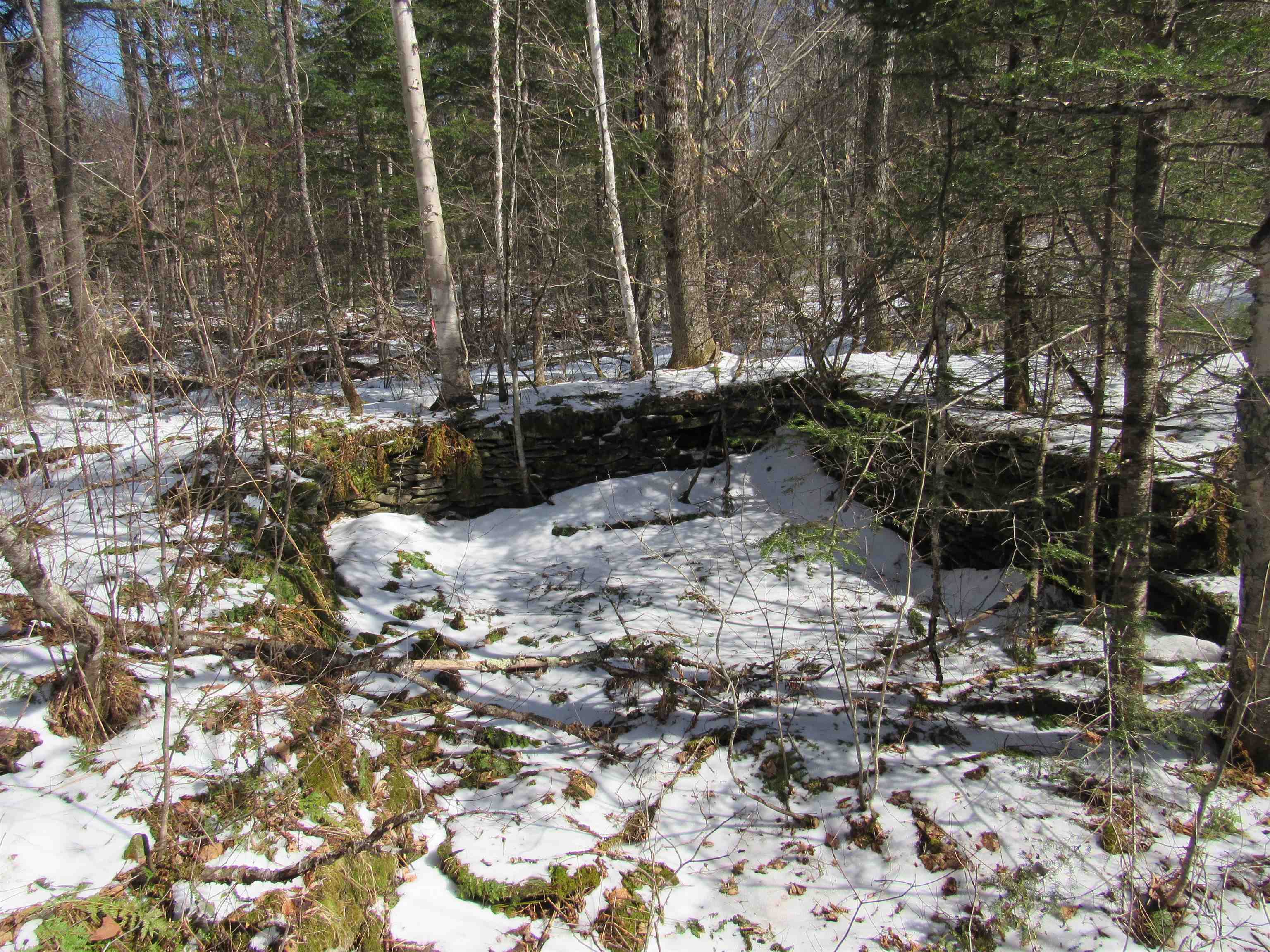 1192 Haven Hill Road, Unit LOT 1A Londonderry, VT 05155 - Photo 4 of 23