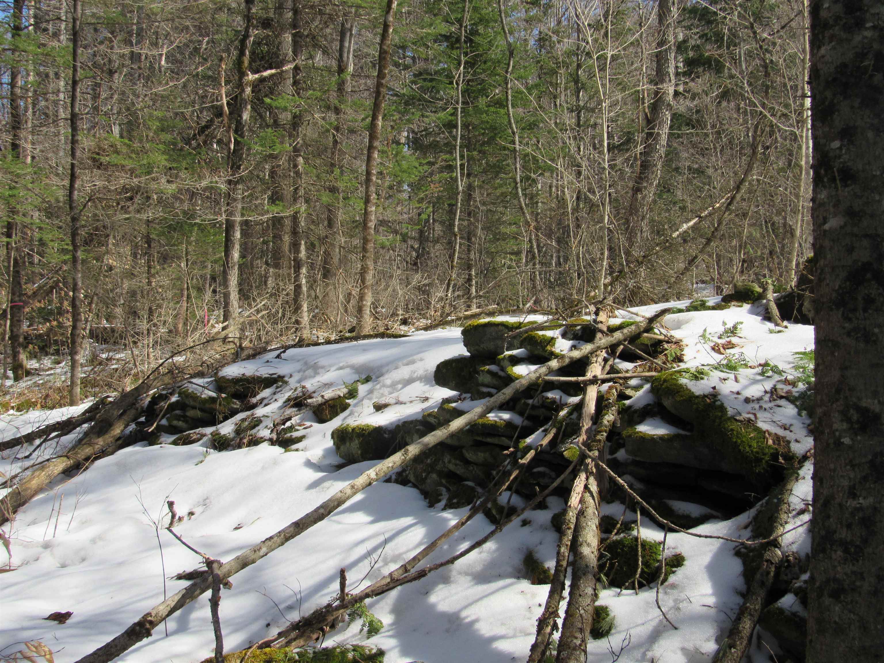 1192 Haven Hill Road, Unit LOT 1A Londonderry, VT 05155 - Photo 5 of 23