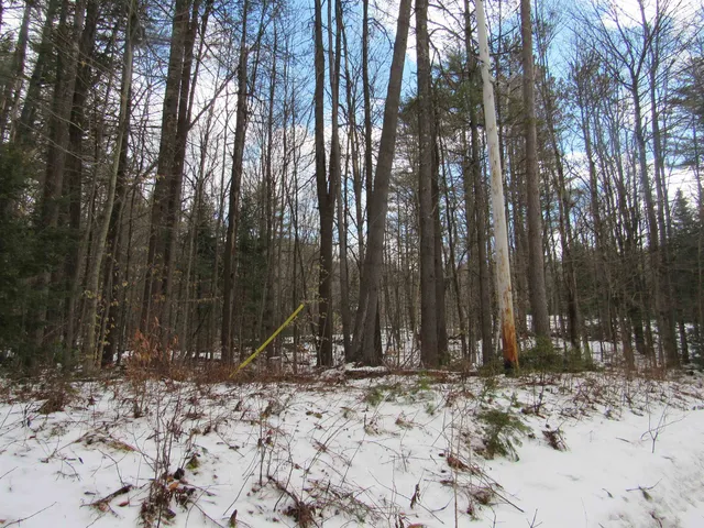 $135,000 | 1192 Haven Hill Road, Unit LOT 1A, Londonderry, VT 05155