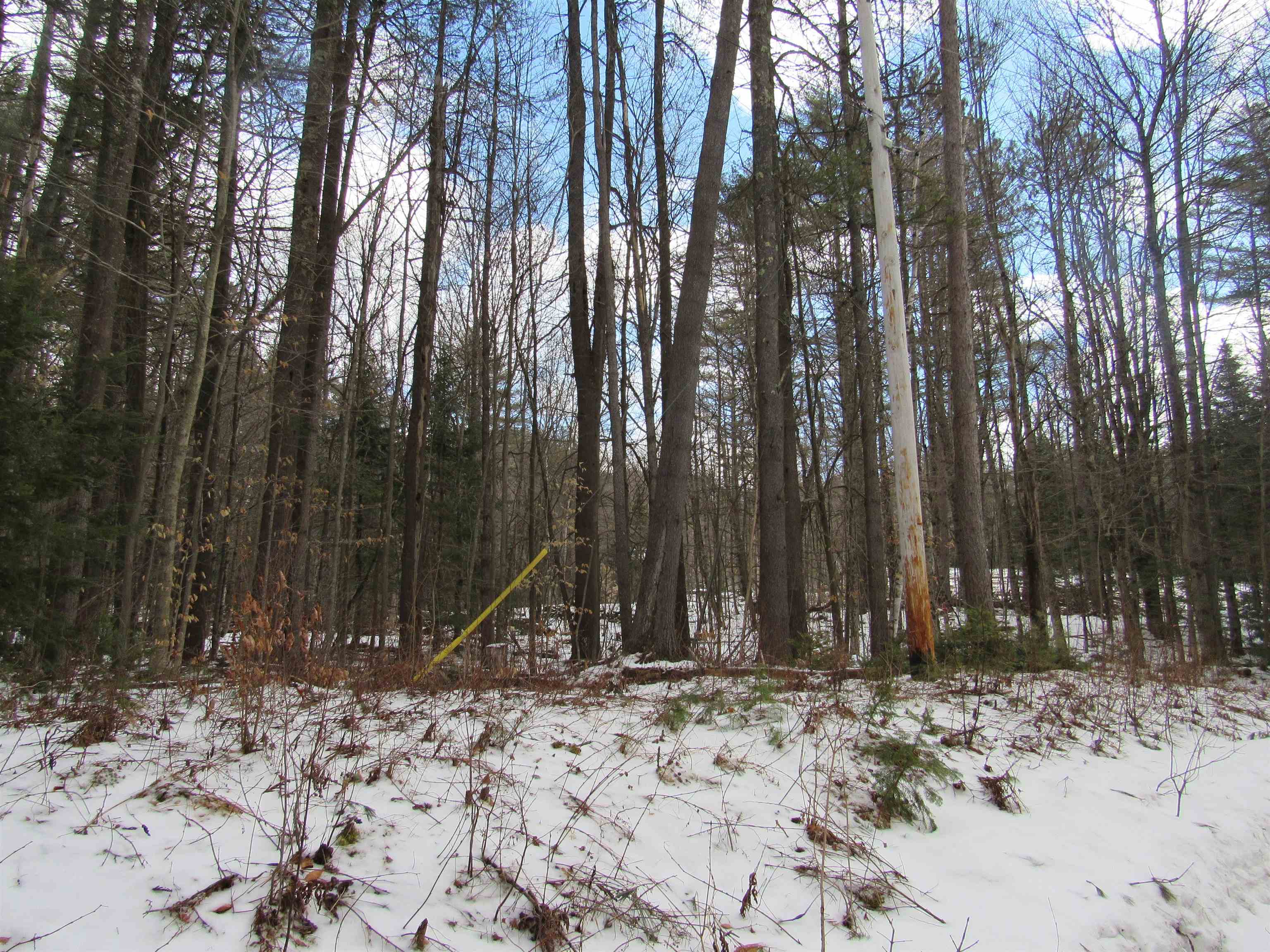 1192 Haven Hill Road, Unit LOT 1A Londonderry, VT 05155 - Photo 6 of 23