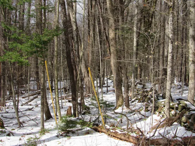 $135,000 | 1192 Haven Hill Road, Unit LOT 1A, Londonderry, VT 05155