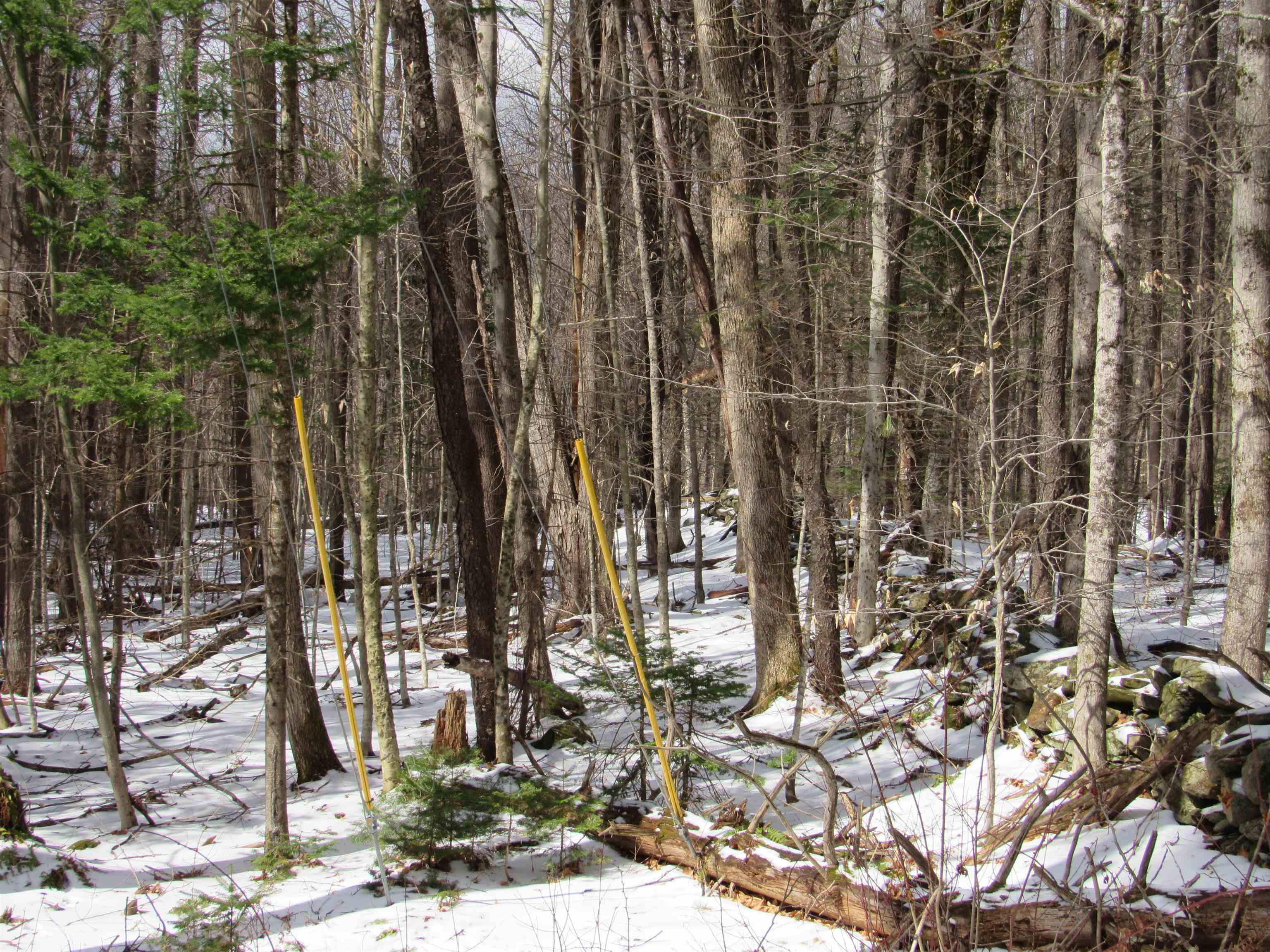 1192 Haven Hill Road, Unit LOT 1A Londonderry, VT 05155 - Photo 7 of 23