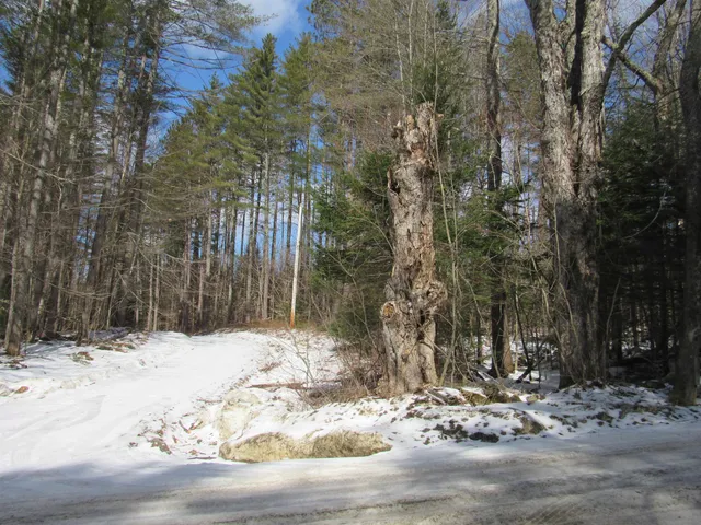 $135,000 | 1192 Haven Hill Road, Unit LOT 1A, Londonderry, VT 05155