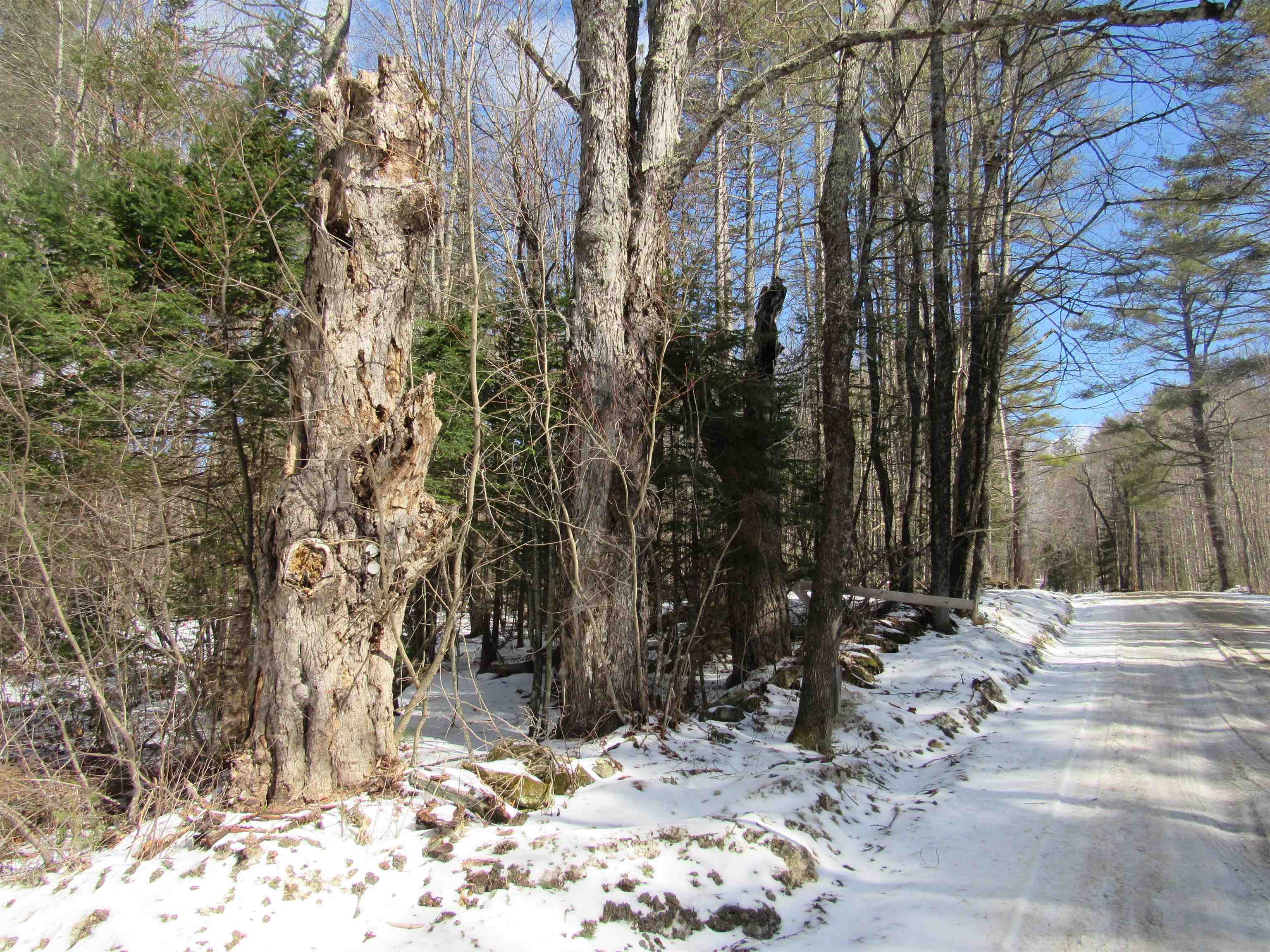 1192 Haven Hill Road, Unit LOT 1A Londonderry, VT 05155 - Photo 9 of 23