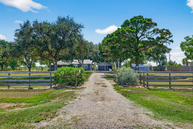 a view of a park with large trees