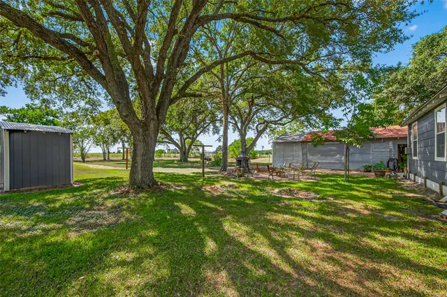 a view of backyard with tree
