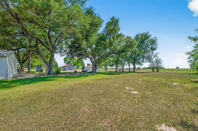 a view of a tree in front of a house