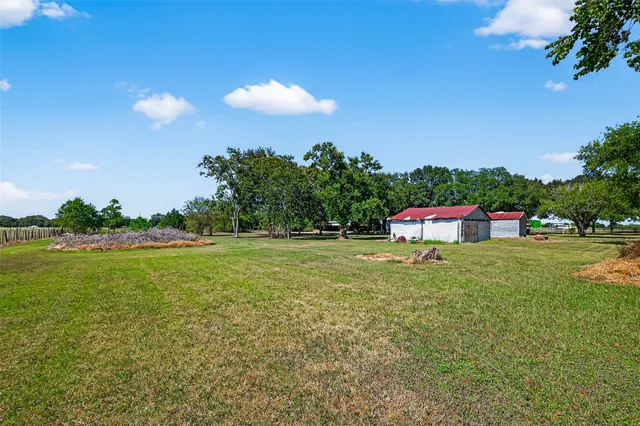 a yellow and red umbrella