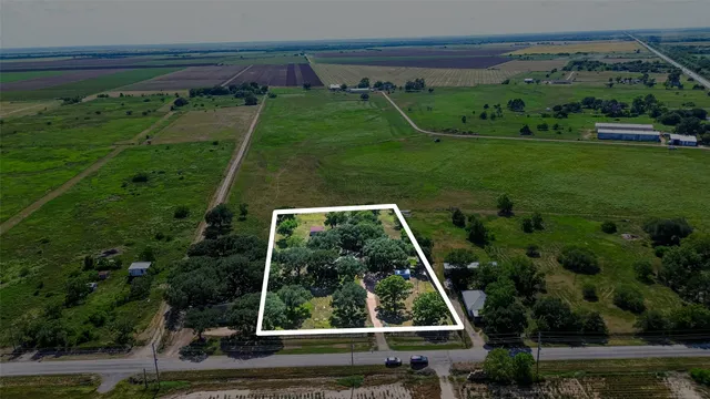 a view of a yard with plants