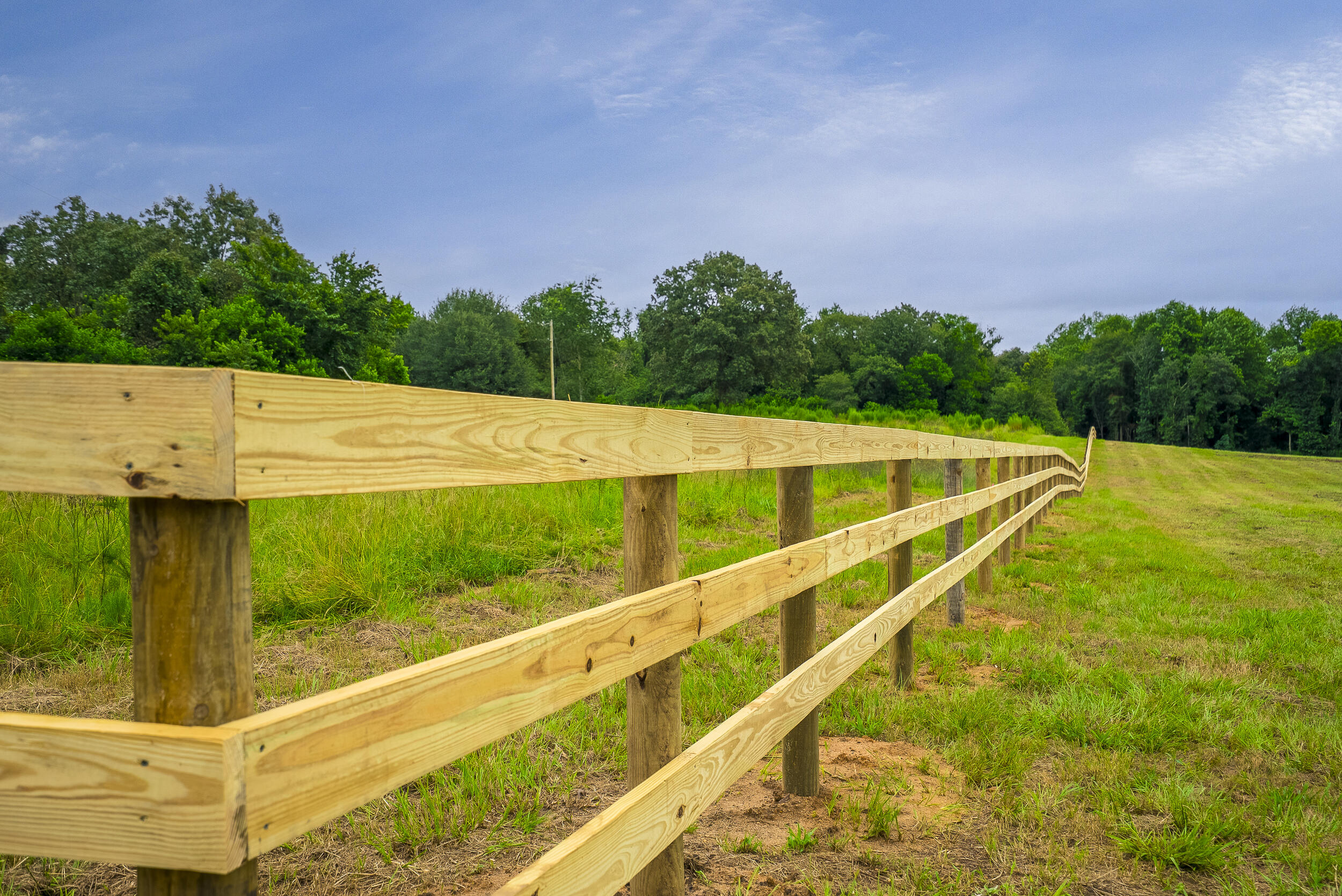 0 Cedar Creek Road Windsor, SC 29856 - Photo 7 of 31 Gallery Image 7
