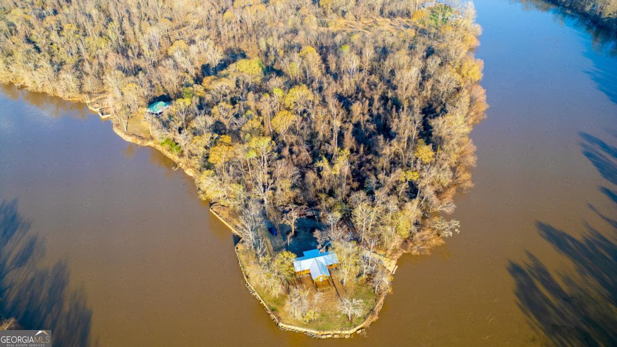 6-three Rivers Estates Road Uvalda, GA 30473 - Photo 25 of 32