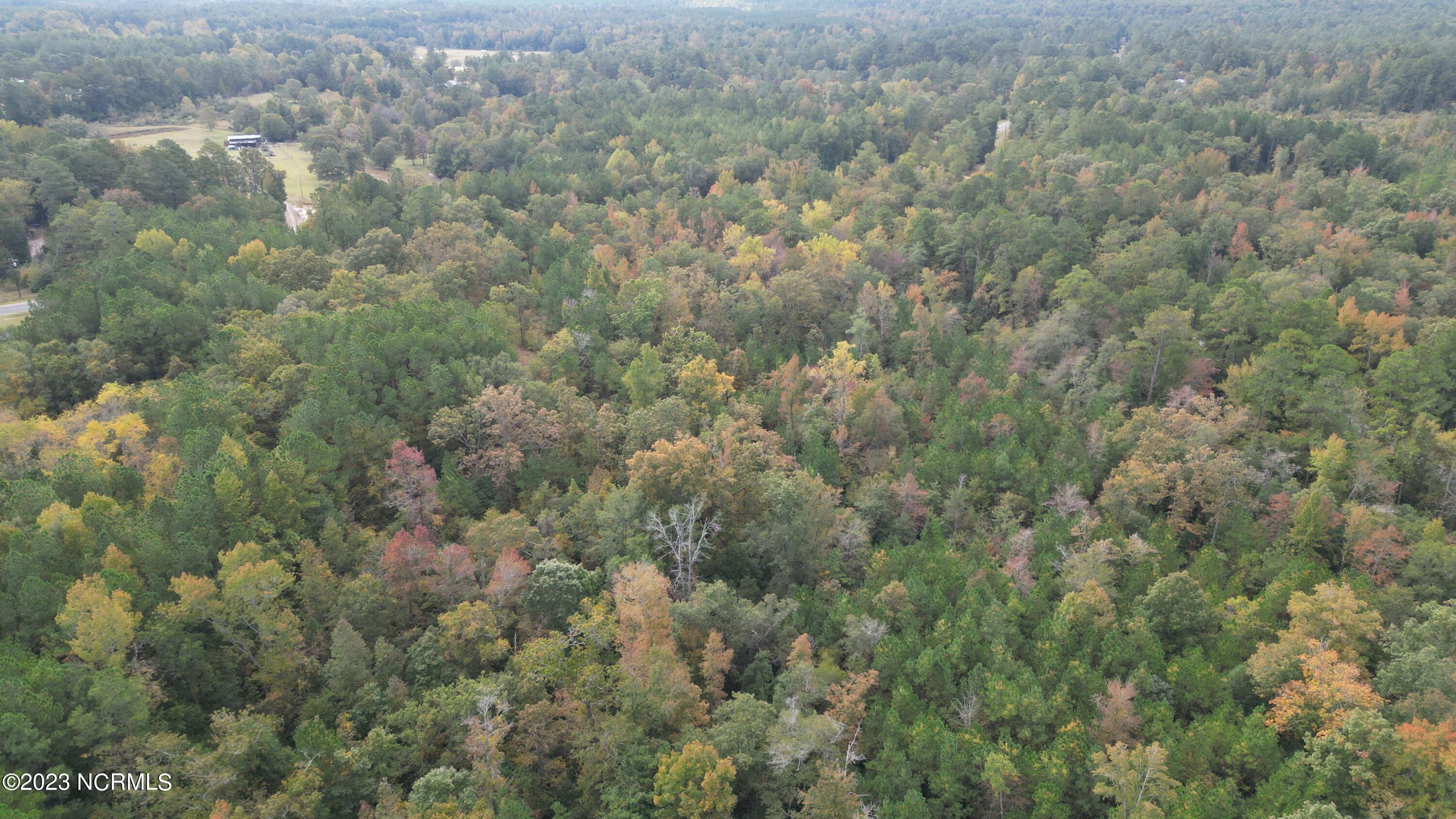 18.33-acre McPherson Road Vass, NC 28394 - Photo 22 of 39 DJI_0125