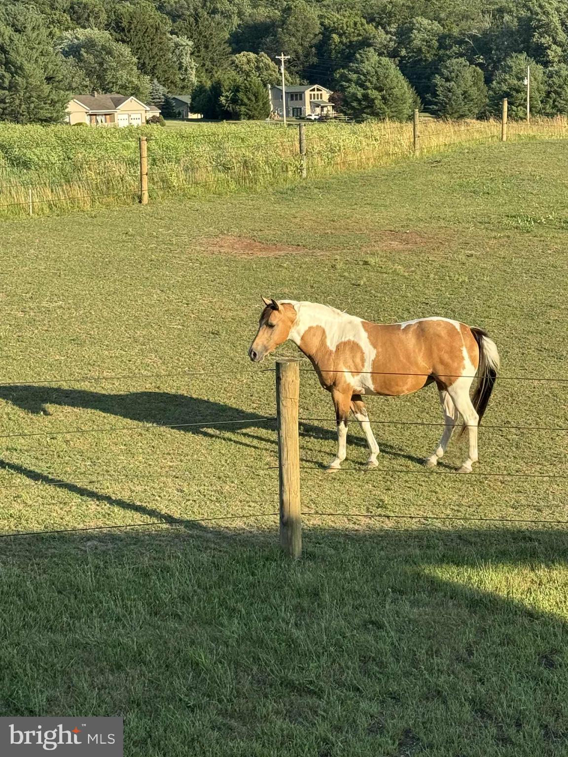 1461 New Road Orrtanna, PA 17353 - Photo 33 of 43