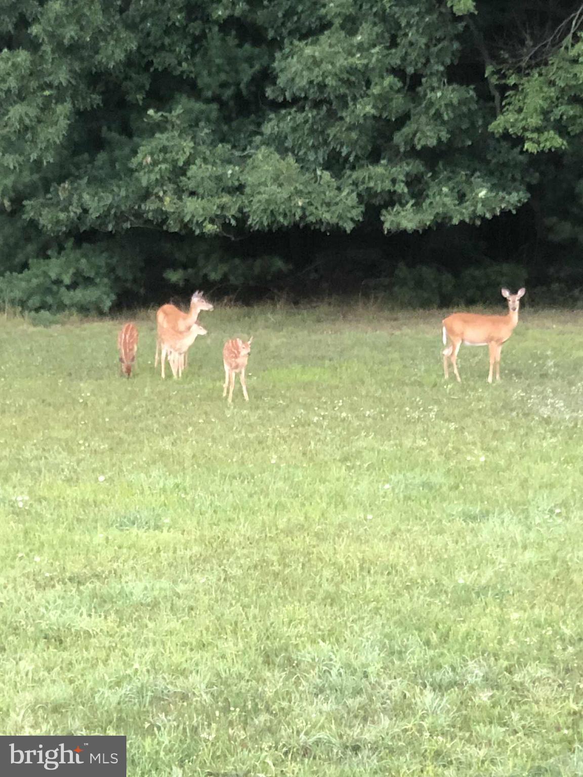 1461 New Road Orrtanna, PA 17353 - Photo 36 of 43