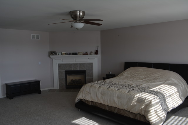718 Wilson Street Waterman, IL 60556 - Photo 7 of 7 a bedroom with a bed and a fireplace