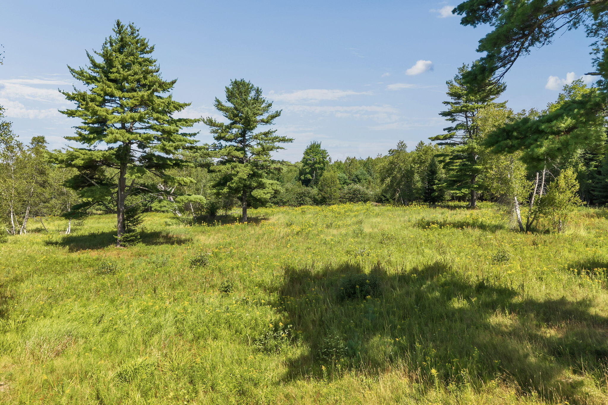 368 Partridge Cove Road Lamoine, ME 04605 - Photo 103 of 107 118-web-or-mls-368-partridge-cove-rd