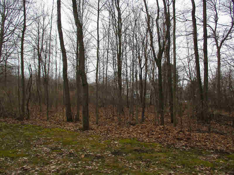 5271 North Shore Road Pinconning, MI 48650 - Photo 45 of 47