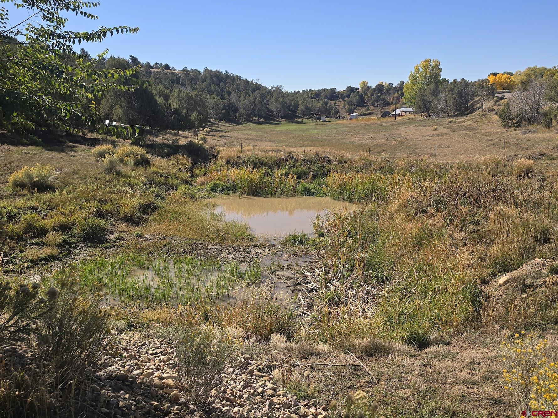 58 Rawhide Road Durango, CO 81303 - Photo 5 of 10 a view of lake with green space