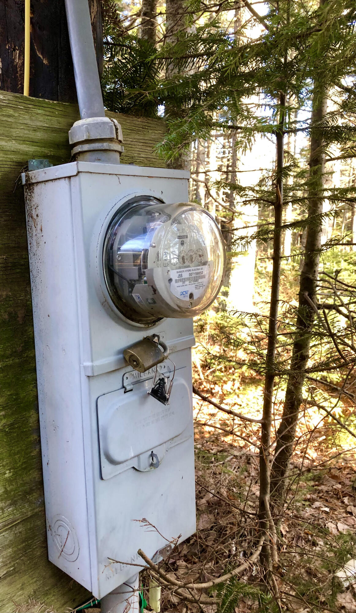 79 Mill Road Lamoine, ME 04605 - Photo 19 of 25 Electricity on site